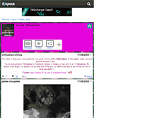 Tablet Screenshot of chihuahua-chihua.skyrock.com