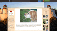 Desktop Screenshot of epagneul--breton.skyrock.com