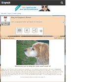 Tablet Screenshot of epagneul--breton.skyrock.com