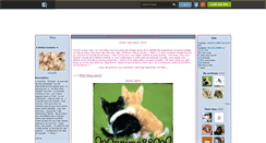 Desktop Screenshot of animo88.skyrock.com