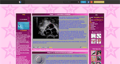 Desktop Screenshot of f-i-v-lemiracle.skyrock.com