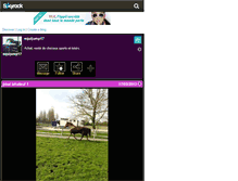 Tablet Screenshot of equijump17.skyrock.com