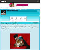 Tablet Screenshot of collection-gendarmerie.skyrock.com