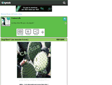 Tablet Screenshot of cactus-life.skyrock.com