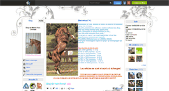 Desktop Screenshot of matos-pour-chevaux.skyrock.com