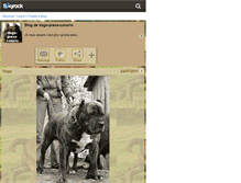 Tablet Screenshot of dogo-presa-canario.skyrock.com