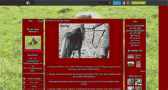 Desktop Screenshot of elevageshetlands34.skyrock.com