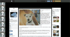 Desktop Screenshot of le-chien-jack-russel.skyrock.com
