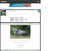 Tablet Screenshot of cheval-lusitanien.skyrock.com