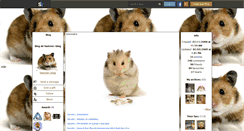 Desktop Screenshot of hamster-blog.skyrock.com