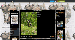 Desktop Screenshot of amstaff38400.skyrock.com
