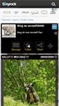 Mobile Screenshot of amstaff38400.skyrock.com