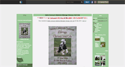 Desktop Screenshot of chvaux-irish-cob.skyrock.com