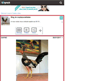 Tablet Screenshot of coqdepoutetbebe.skyrock.com