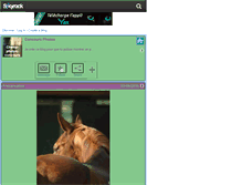 Tablet Screenshot of cheval-photos-concours.skyrock.com