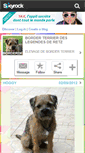 Mobile Screenshot of borderdeslegendesderetz.skyrock.com