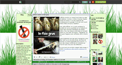 Desktop Screenshot of contrelegavage.skyrock.com