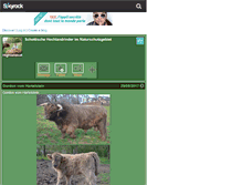 Tablet Screenshot of highlandcattle.skyrock.com