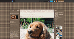 Desktop Screenshot of cocker--anglais.skyrock.com