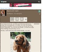 Tablet Screenshot of cocker--anglais.skyrock.com