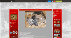 Desktop Screenshot of dogo-canario.skyrock.com