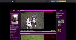 Desktop Screenshot of amstaff--bull-terrier.skyrock.com