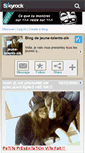 Mobile Screenshot of jeune-talents-zik.skyrock.com