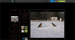 Desktop Screenshot of dog38500.skyrock.com