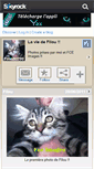 Mobile Screenshot of filou93700.skyrock.com
