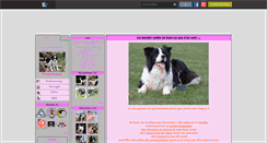 Desktop Screenshot of bordercollielove42.skyrock.com