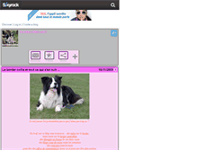 Tablet Screenshot of bordercollielove42.skyrock.com