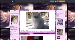 Desktop Screenshot of chanel00.skyrock.com