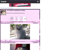 Tablet Screenshot of chanel00.skyrock.com