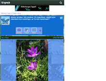 Tablet Screenshot of butterfly39.skyrock.com
