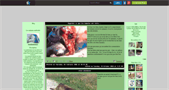 Desktop Screenshot of amiedesanimau01.skyrock.com