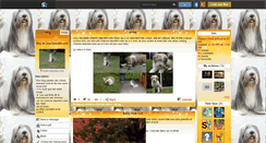Desktop Screenshot of chien-bearded-colie.skyrock.com