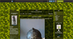 Desktop Screenshot of footdu54530.skyrock.com