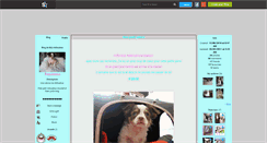 Desktop Screenshot of fidji-chihuahua.skyrock.com