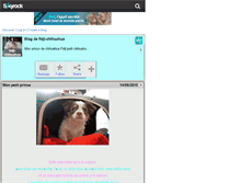 Tablet Screenshot of fidji-chihuahua.skyrock.com