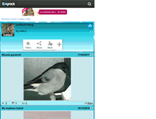 Tablet Screenshot of bullfinch.skyrock.com