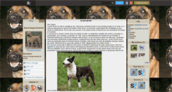 Desktop Screenshot of kangal-et-boerbull.skyrock.com