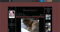 Desktop Screenshot of mb-photographie.skyrock.com