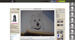 Desktop Screenshot of portrait-animalier.skyrock.com