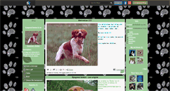 Desktop Screenshot of epagneul---breton.skyrock.com