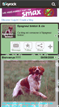 Mobile Screenshot of epagneul---breton.skyrock.com