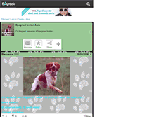 Tablet Screenshot of epagneul---breton.skyrock.com