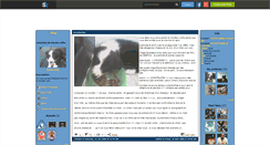 Desktop Screenshot of border-collie.skyrock.com