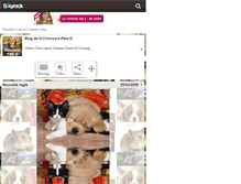 Tablet Screenshot of d-concours-pets-d.skyrock.com