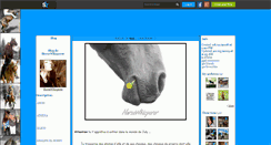 Desktop Screenshot of horsewhisperer.skyrock.com