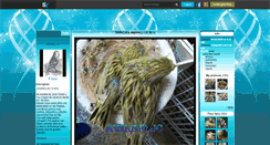 Desktop Screenshot of neojc.skyrock.com
